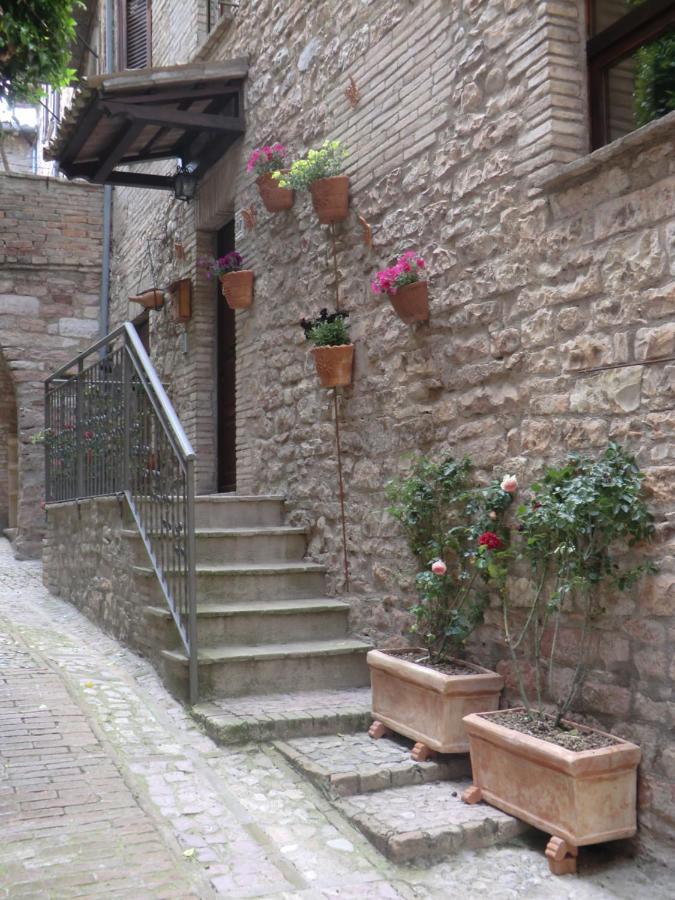 La Corta Di Spello Camere Экстерьер фото