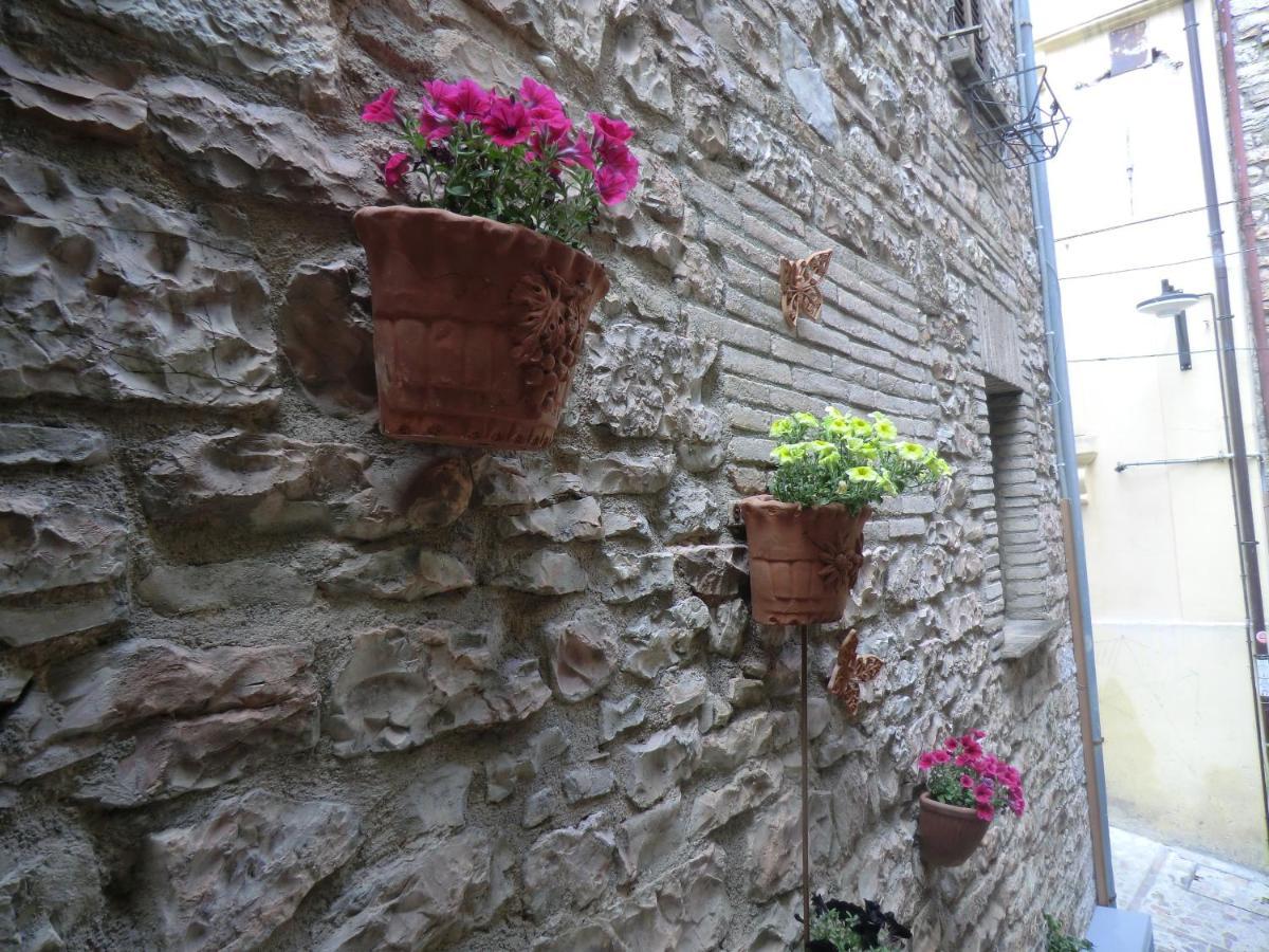 La Corta Di Spello Camere Экстерьер фото