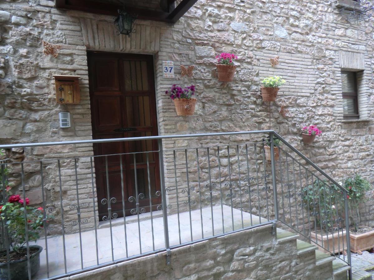 La Corta Di Spello Camere Экстерьер фото